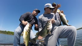 Largemouth Bass Fishing in Austin, Texas