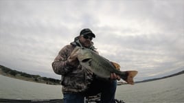 Largemouth Bass Fishing in Austin, Texas