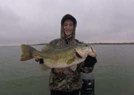 Largemouth Bass Fishing in Austin, Texas