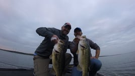 Largemouth Bass Fishing in Austin, Texas