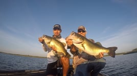 Largemouth Bass Fishing in Austin, Texas