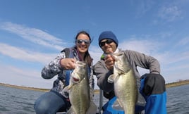 Largemouth Bass Fishing in Austin, Texas