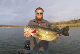 Largemouth Bass Fishing in Austin, Texas