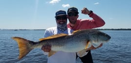 Redfish Fishing in Jacksonville, Florida