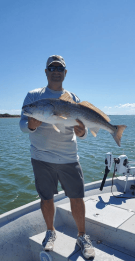 Redfish Fishing in Corpus Christi, Texas