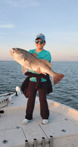 Black Drum Fishing in Corpus Christi, Texas