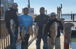 Black Drum Fishing in Corpus Christi, Texas