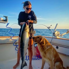 Chinook Salmon Fishing in Winthrop Harbor, Illinois