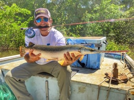 Longnose Gar Fishing in Palestine, Texas