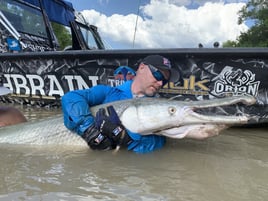 Alligator Gar Fishing in Palestine, Texas