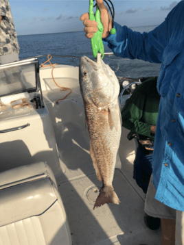 6-Hour Fishing Trip - 21’ SeaHunt