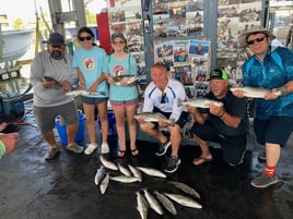 Galveston Jetty Roundup