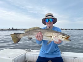 Galveston Jetty Roundup