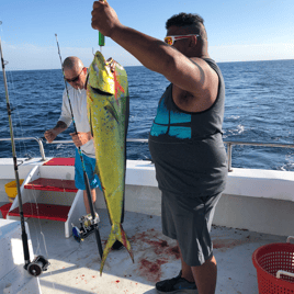 Mahi Mahi Fishing in Destin, Florida