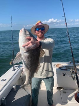 Black Drum Fishing in Galveston, Texas