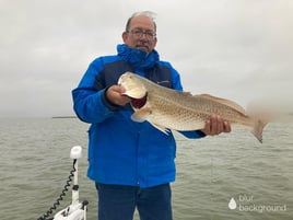 Redfish Fishing in Texas City, Texas