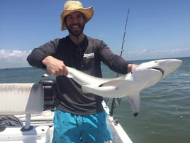 Blacktip Shark Fishing in Texas City, Texas