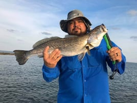 Speckled Trout Fishing in Texas City, Texas