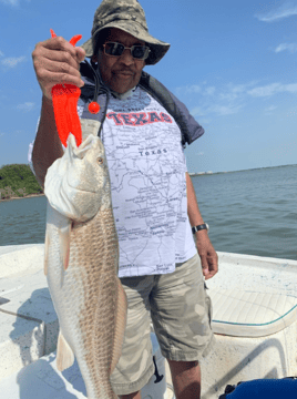 Galveston Bay Trout/Redfish