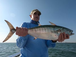 False Albacore Fishing in Ogden, North Carolina