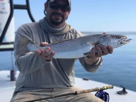 Speckled Trout Fishing in Ogden, North Carolina