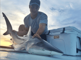 Shark Fishing Trip