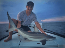 Shark Fishing Trip