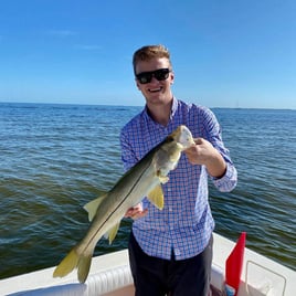 Snook Fishing in Bokeelia, Florida