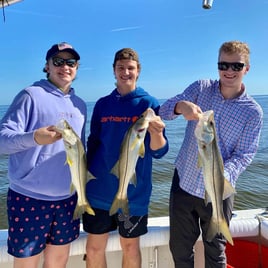 Snook Fishing in Bokeelia, Florida