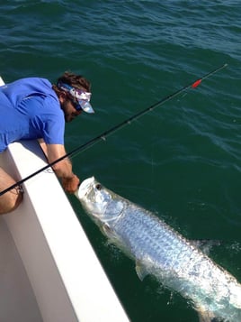 Tarpon Fishing in Bokeelia, Florida