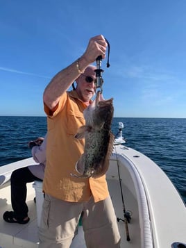 Gag Grouper Fishing in Bokeelia, Florida