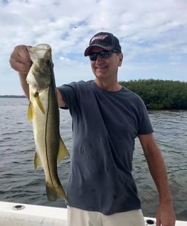 Snook Fishing in Bokeelia, Florida