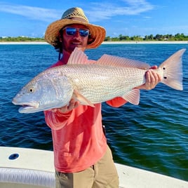 Bokeelia Half Day Inshore