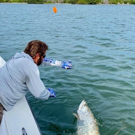 Tarpon Fishing in Bokeelia, Florida