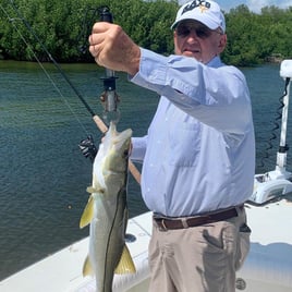 Snook Fishing in Bokeelia, Florida