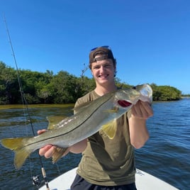 Snook Fishing in Bokeelia, Florida