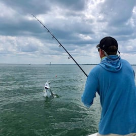 Tarpon Fishing in Bokeelia, Florida