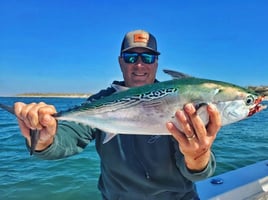 False Albacore Fishing in Beaufort, North Carolina