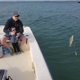 Nearshore Fly Fishing