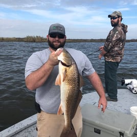 Redfish Fishing in Saint Bernard, Louisiana