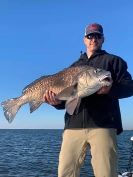 Black Drum Fishing in Saint Bernard, Louisiana