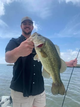 Largemouth Bass Fishing in Saint Bernard, Louisiana