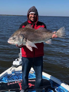 Black Drum Fishing in Saint Bernard, Louisiana