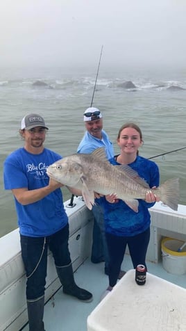 Black Drum Fishing in Galveston, Texas