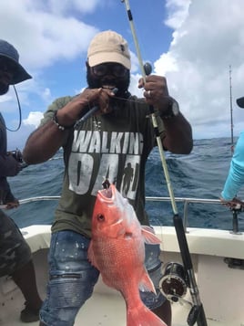 Giant Amberjack Trip (Sat-Sun)