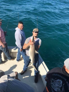 Bay and Jetty Fishing