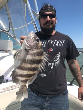 Bay and Jetty Fishing