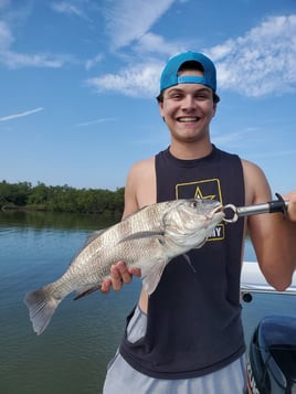 Black Drum Fishing in New Smyrna Beach, Florida