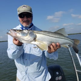 Snook Fishing in New Smyrna Beach, Florida