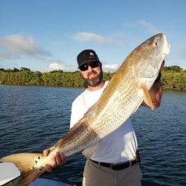 Mosquito Lagoon Backcountry Fishing